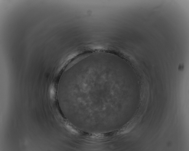 X0000089960720200707061140