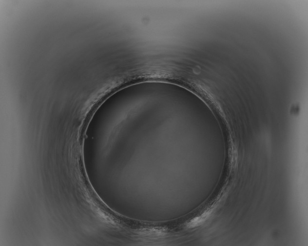 X0000089960721200707061139