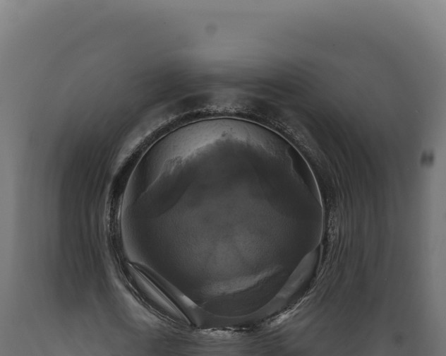 X0000089960722200707061139