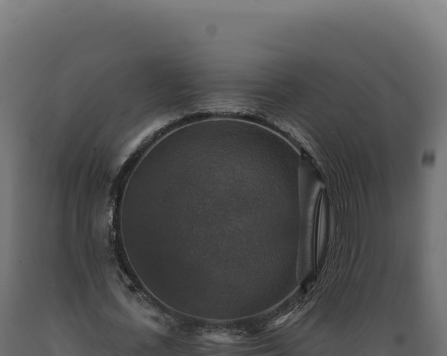X0000089960723200707061139
