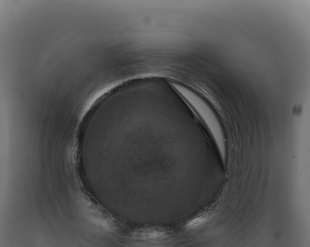 X0000089960724200707061139