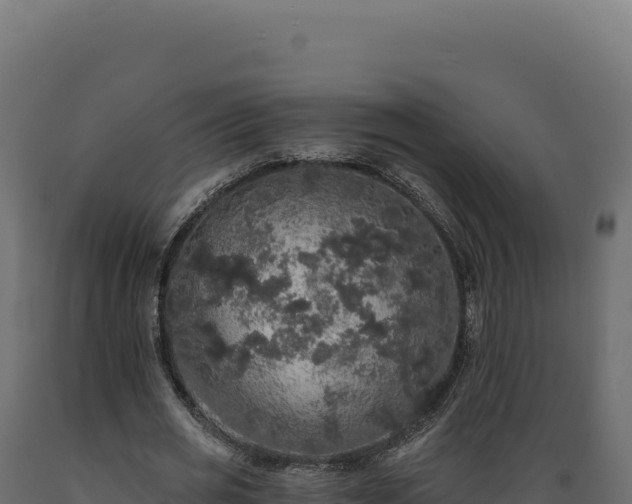 X0000089960725200707061139