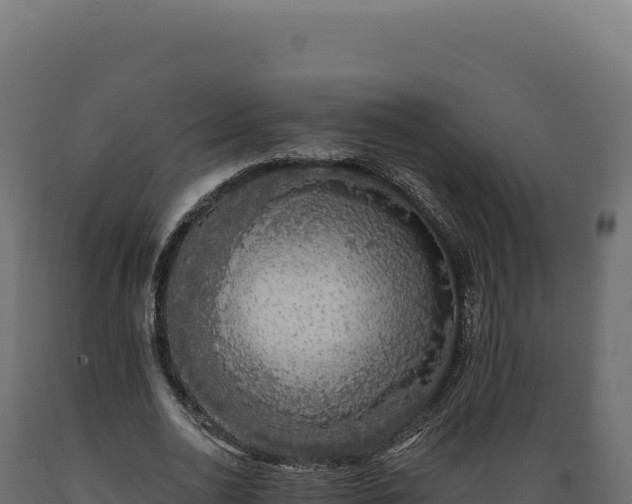 X0000089960726200707061139