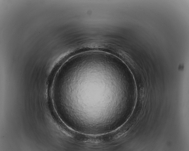 X0000089960727200707061139