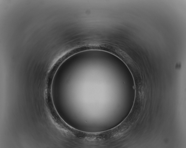 X0000089960728200707061140