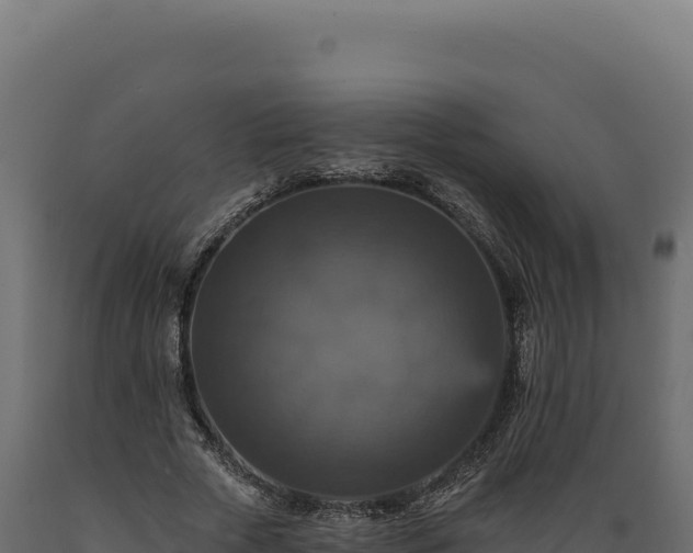 X0000089960729200707061140