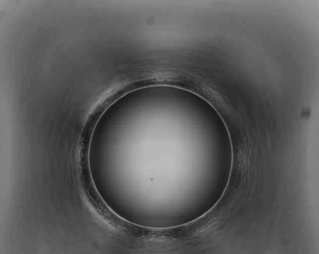 X0000089960730200707061140