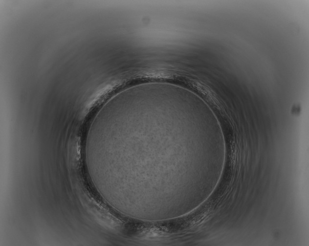 X0000089960731200707061140