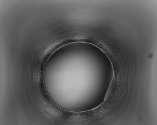 X0000089960732200707061140