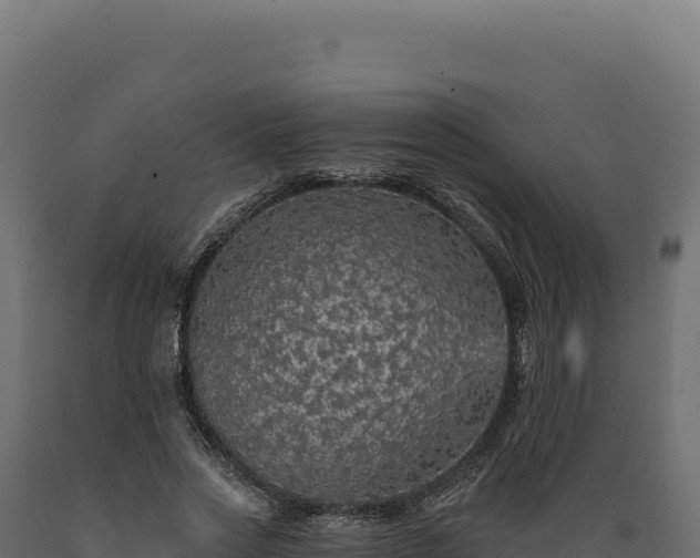 X0000089960733200707061140