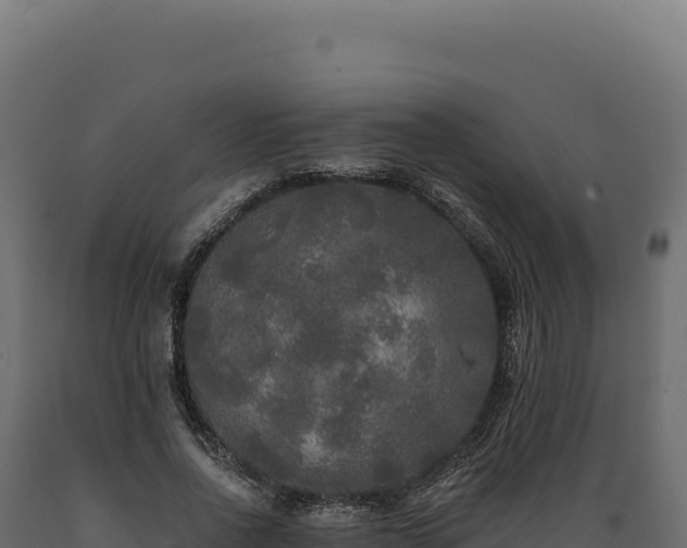 X0000089960734200707061140