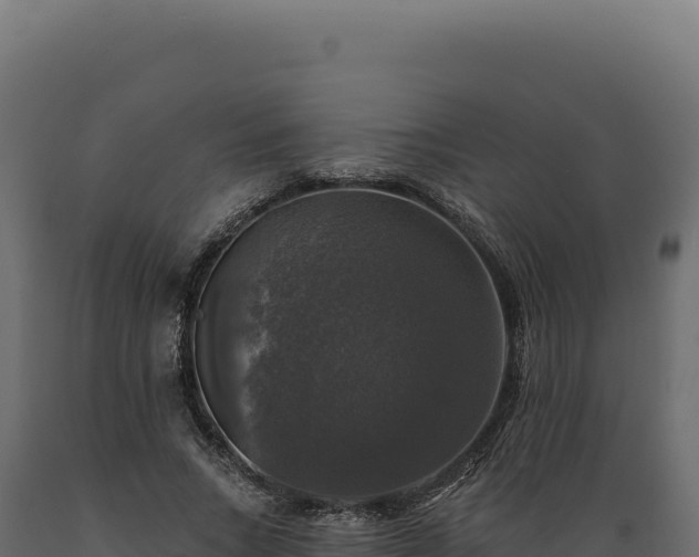 X0000089960735200707061140