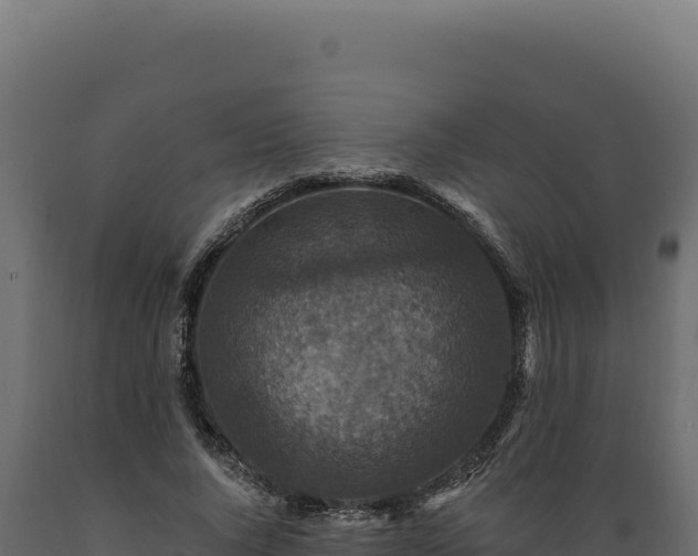 X0000089960736200707061140