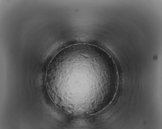 X0000089960738200707061140