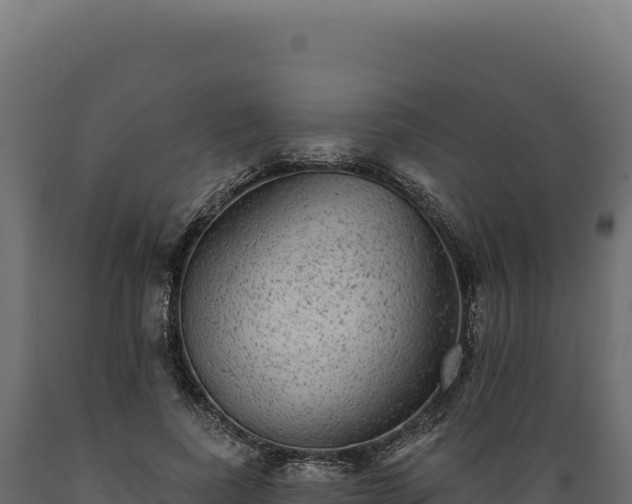 X0000089960739200707061140