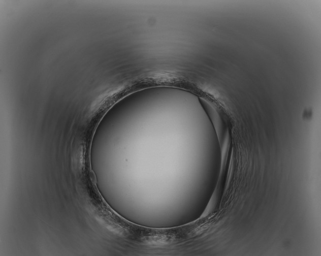 X0000089960740200707061140
