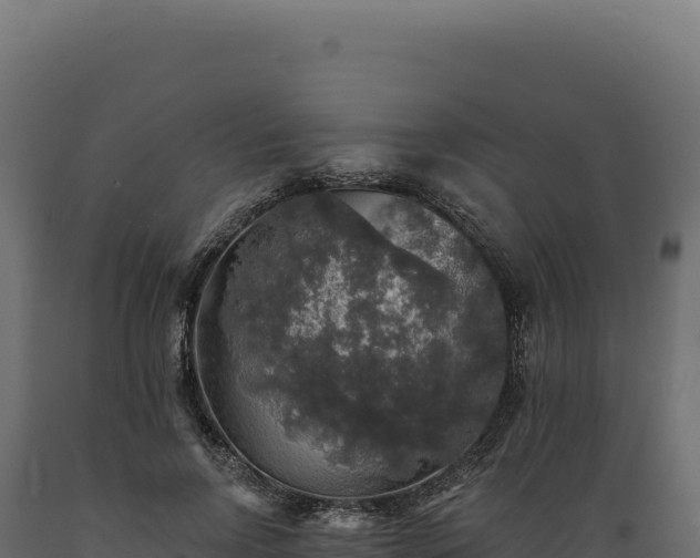 X0000089960742200707061140