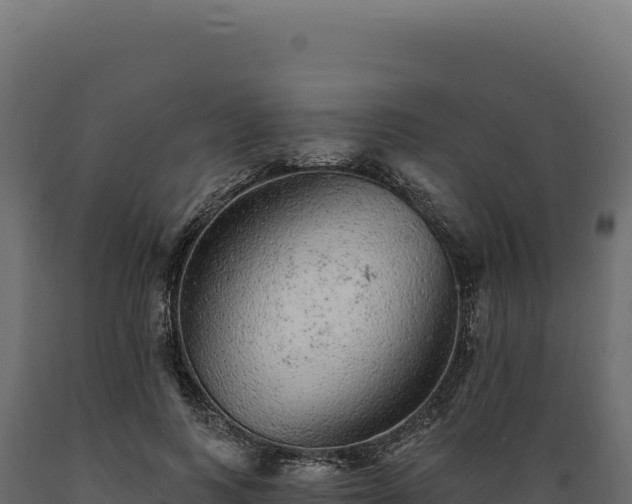 X0000089960743200707061140