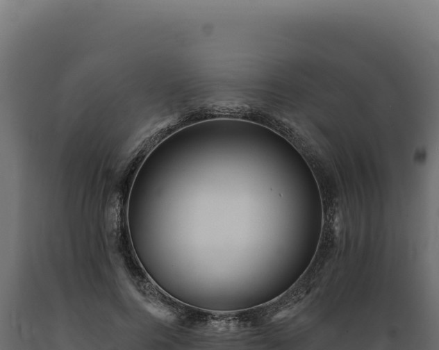 X0000089960744200707061140