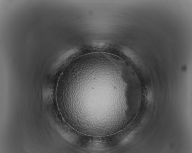 X0000089960745200707061140