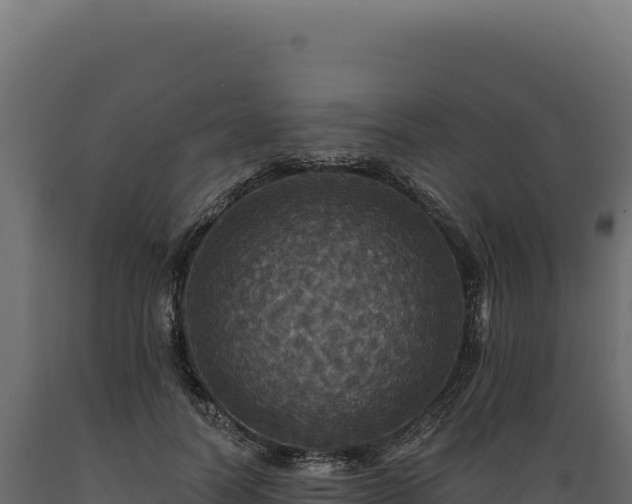 X0000089960746200707061140