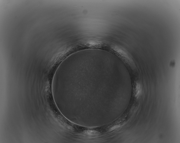 X0000089960748200707061140