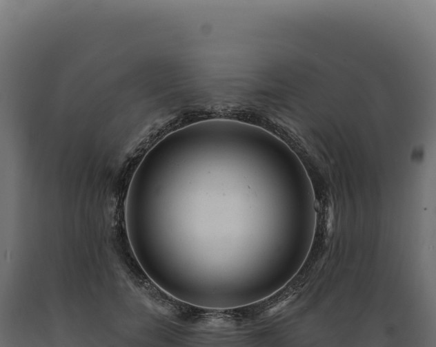 X0000089960750200707061140