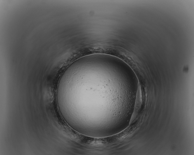 X0000089960751200707061140