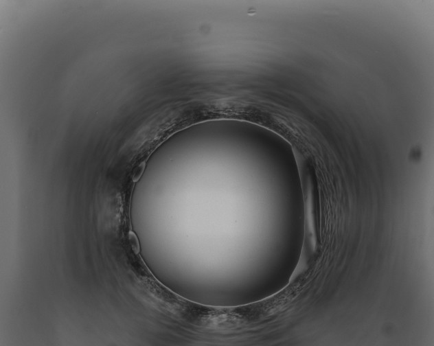 X0000089960752200707061140