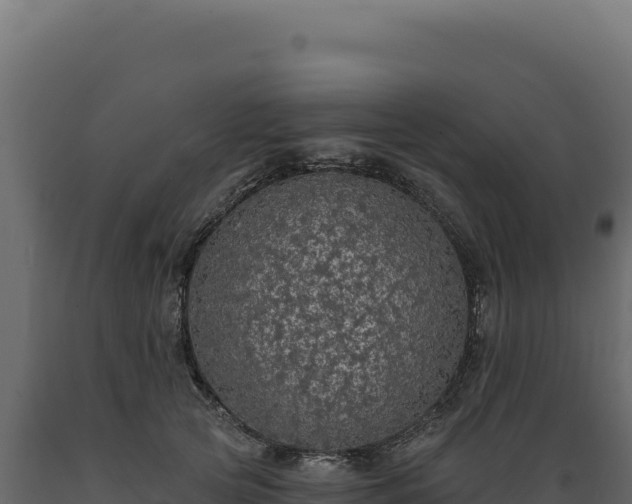 X0000089960753200707061140
