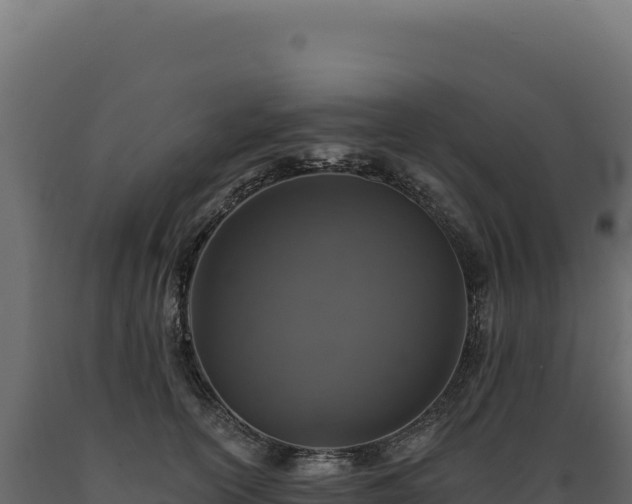 X0000089960754200707061140