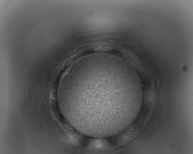 X0000089960755200707061140