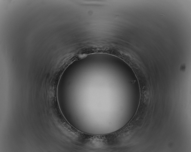 X0000089960756200707061140