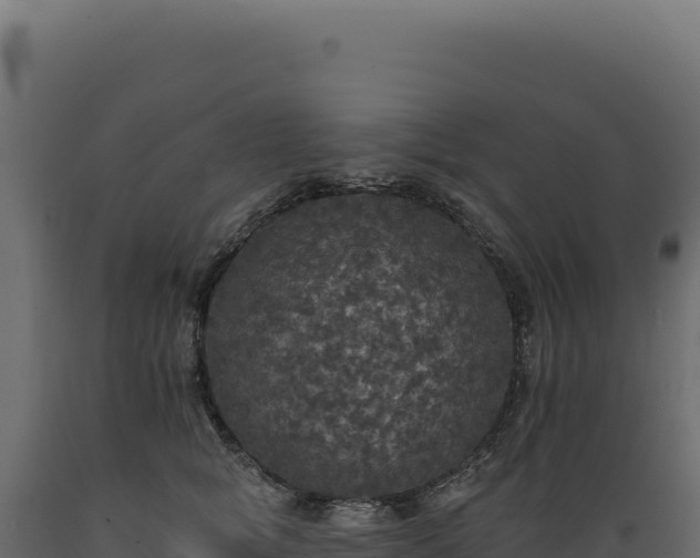 X0000089960757200707061140
