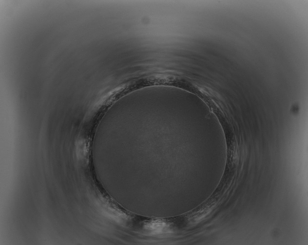 X0000089960759200707061140