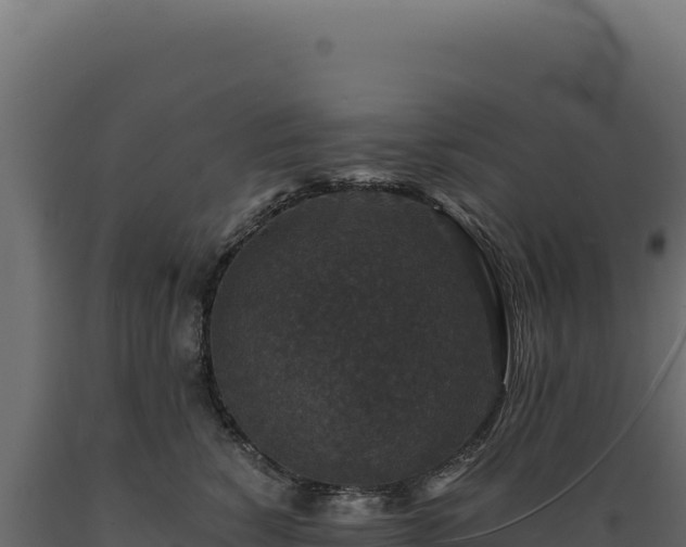 X0000089960760200707061140