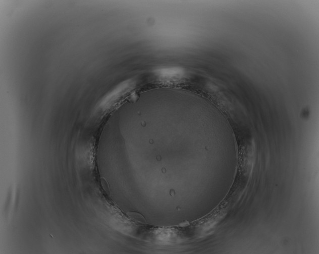 X0000089960762200707061140