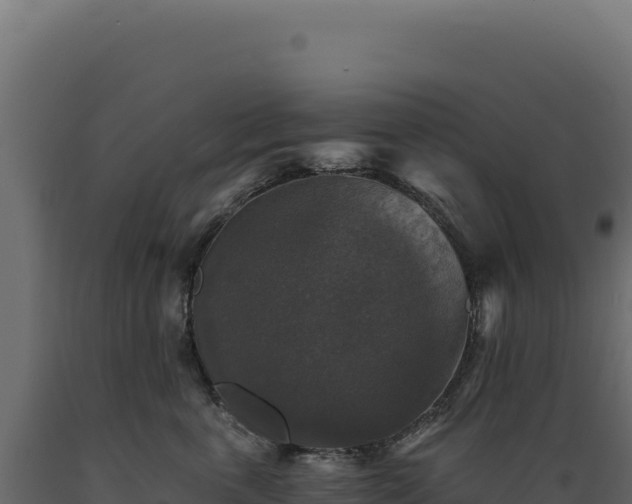 X0000089960763200707061140