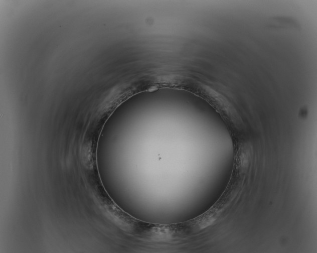 X0000089960764200707061140