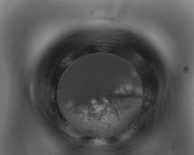 X0000089960765200707061140