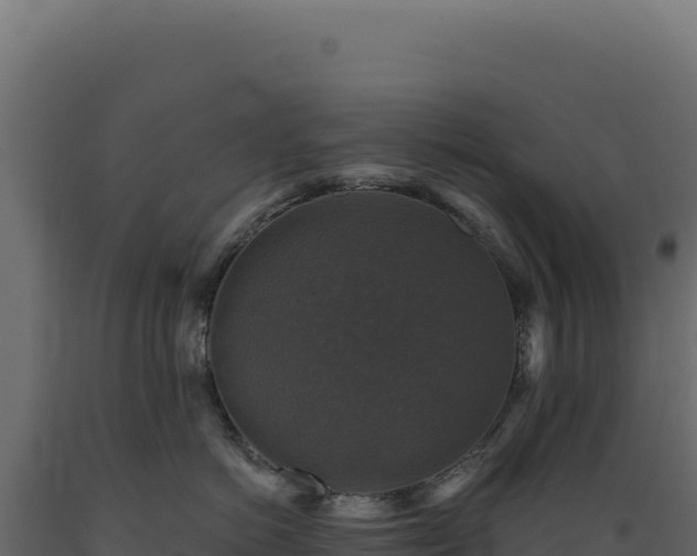 X0000089960766200707061140