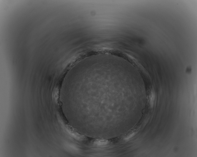 X0000089960767200707061140