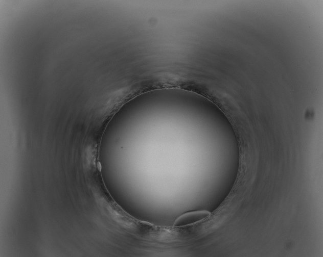 X0000089960768200707061140