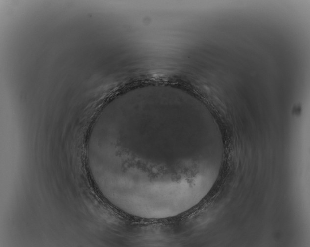 X0000089960769200707061139
