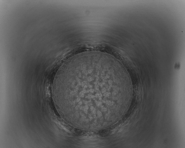 X0000089960770200707061139