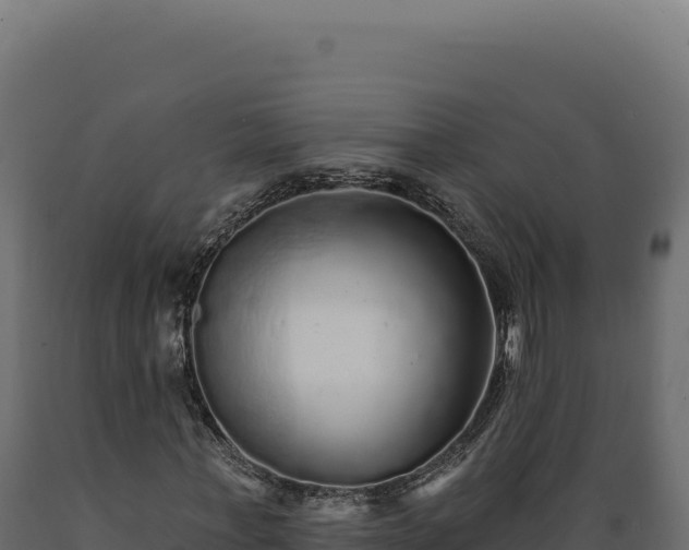 X0000089960771200707061139