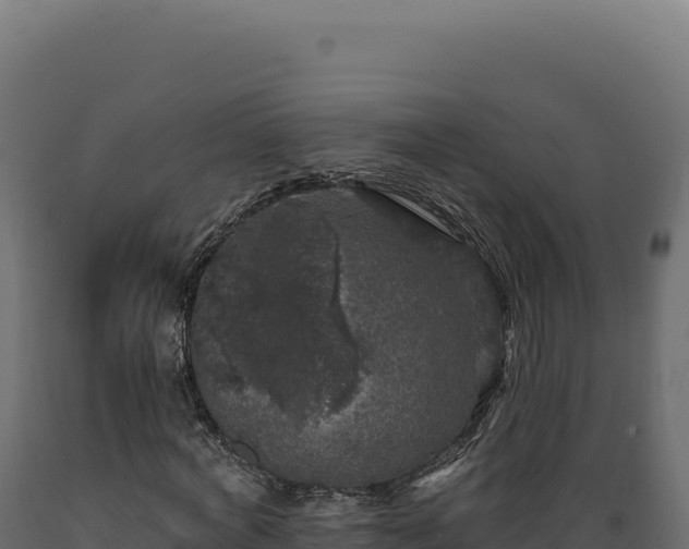 X0000089960772200707061139