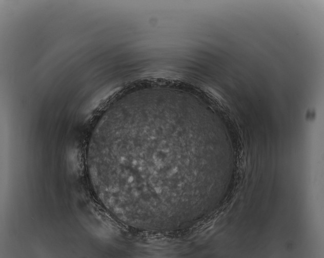 X0000089960774200707061139
