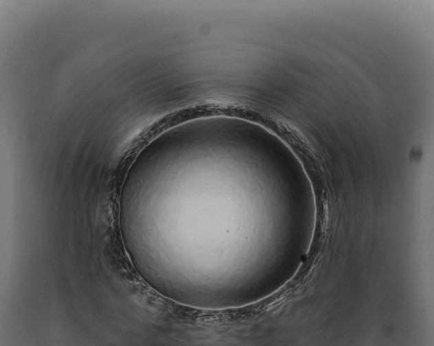 X0000089960776200707061139
