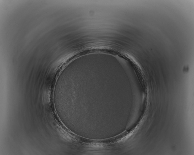 X0000089960777200707061139